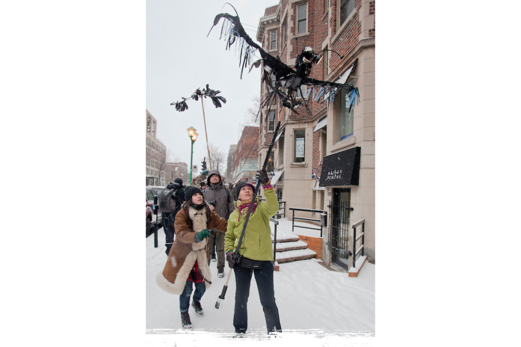 Slider_Parade-oiseaux_scratch
